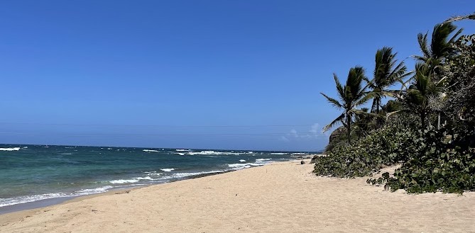 A beach in the Dominican Republic